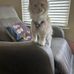 Dawn Normoyle - Facebook