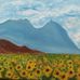 Dawn Noto - Facebook