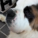 Dawn Nutter-Helferich - @nutterhelferich - Instagram