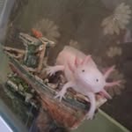 dawn oates - @dawnelizacarpenter - Instagram