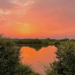 Dawn Oates - Facebook