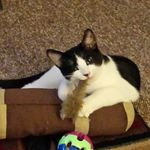 dmo1979 - @dawnoates79 - Instagram