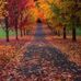 Dawn Obrien - Facebook