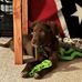 Dawn Oden - Facebook