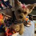 Dawn Odom - Facebook