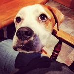 Dawn O'Donnell - @dawn.odonnell.50 - Instagram