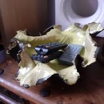 Dawn O’Donnell - @ekorb_pottery - Instagram