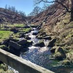 Dawn Ogden - @dawnogden109 - Instagram