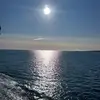 dawnogden - @dawnogden - TikTok