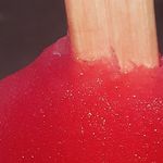 Dawn Ogle - @ogle9245 - Instagram