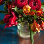 Dawn OHern - @dawn.ohern.35 - Instagram