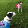 dawnolstad - @dawnolstad - TikTok