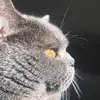 Dan Oldenburger - @dan_bft - TikTok