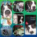 Crystal Dawn Oldfield - Facebook