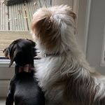 Dawn Oldham - @dawnlouiseoldham - Instagram