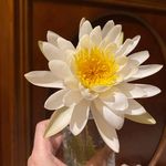Dawn Oldham - @dawnoldham - Instagram