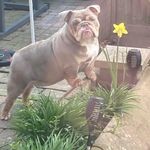 Dawn Oneill - @dwn_oneill - Instagram