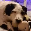Dawn Ormerod - @dawn.ormerod - TikTok