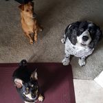 Dawn Ormsby Manley - @dkchooseslove - Instagram