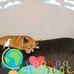 Dawn Orris - Facebook