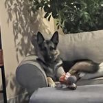 Dawn Osterman - @ostermandawn - Instagram