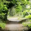 dawnosullivan236 - @dawnosullivan236 - TikTok