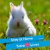 Dawn Overby - Facebook