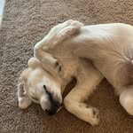 Dawn Pagel - @d_pagel - Instagram