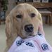 Dawn Parison - Facebook