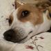 Dawn Parks - Facebook