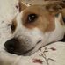 Dawn Parks - Facebook
