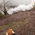 Dawn Parnell - Facebook