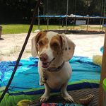Dawn Parnell - @parnell.dawn - Instagram