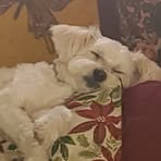 Dawn Parnell - Facebook