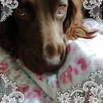 Dawn Parnell - @dawnyp_me - Instagram