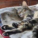 Dawn Parrish Bell - @dawnparrish77 - Instagram