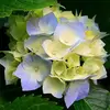 Dawn Partin587 - @dawnpartin587 - TikTok