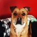 Dawn Patton - Facebook
