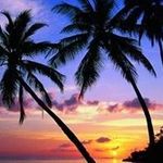 Dawn Payne - @dawnpayne8431 - Instagram