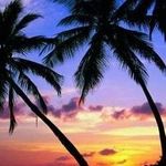 Dawn Payne - @dawnpayne1957 - Instagram