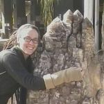 Dawn Payne writes - @dawnpaynewrites - Instagram