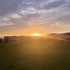 payton - @.paytondawn - TikTok