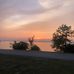 Dawne Pelcher - Facebook