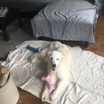 Dawn Pemberton - @pemberton7020 - Instagram
