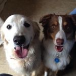 Dawn Pemberton - @pemberton3787 - Instagram