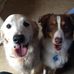 Dawn Pemberton - Facebook