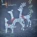 Dawn Petersen - Facebook
