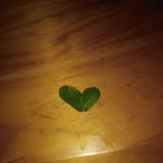 Dawn Petersen - @dawnpetersen60 - Instagram