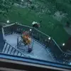 Dawn Petersen - @dawn.petersen5 - TikTok