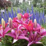 Dawn Pickard - @drp_125 - Instagram